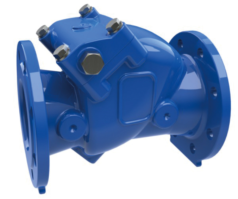 Swing check valves